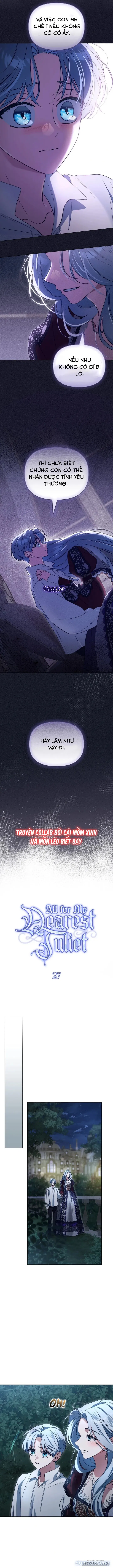 Dành Cho Nàng Juliet Xinh Đẹp 