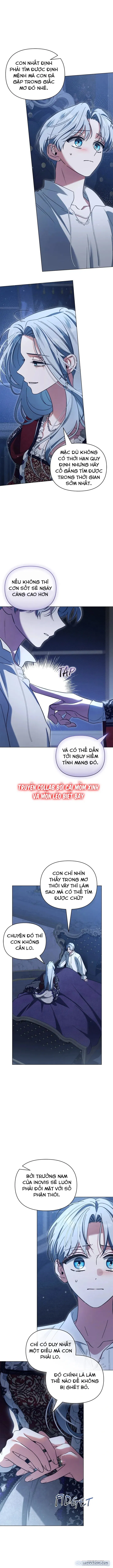 Dành Cho Nàng Juliet Xinh Đẹp 