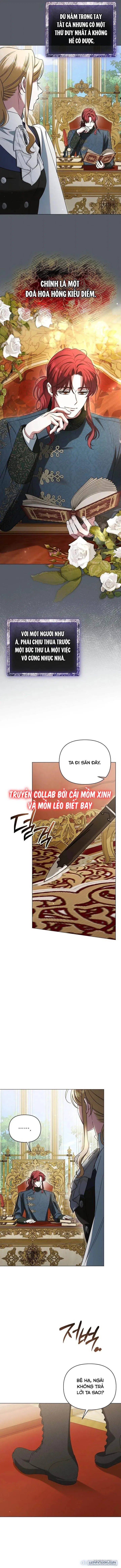 Dành Cho Nàng Juliet Xinh Đẹp 