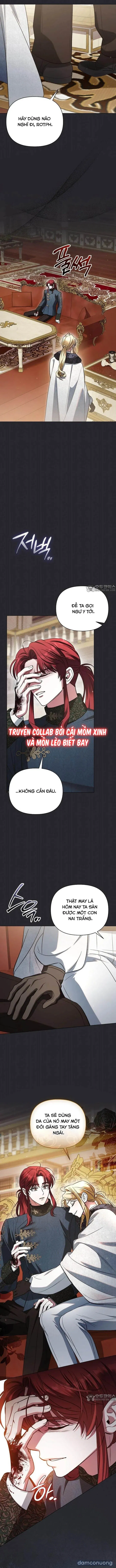Dành Cho Nàng Juliet Xinh Đẹp 