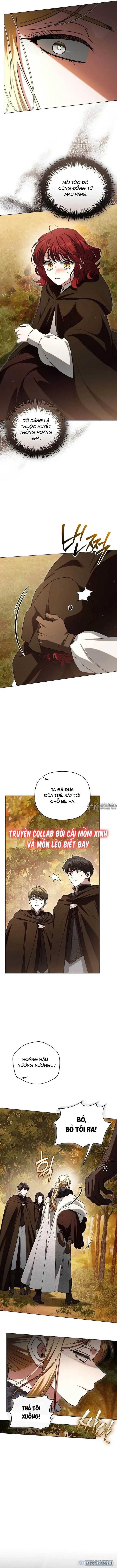Dành Cho Nàng Juliet Xinh Đẹp 