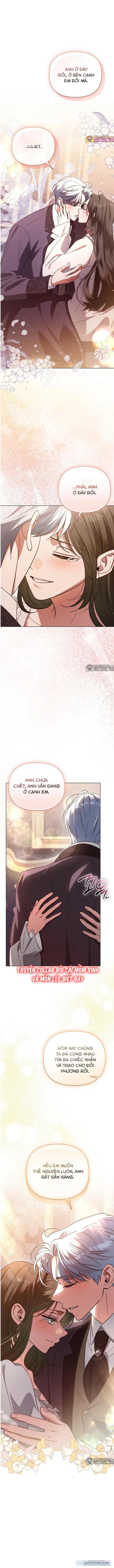 Dành Cho Nàng Juliet Xinh Đẹp 