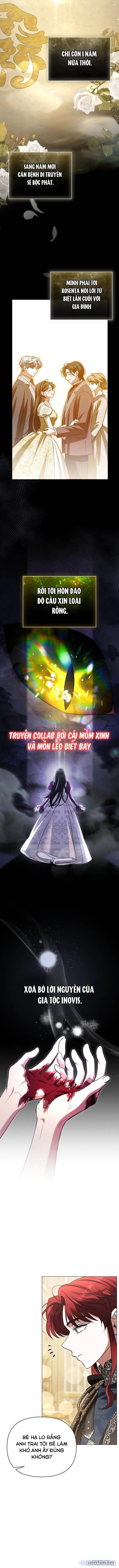 Dành Cho Nàng Juliet Xinh Đẹp 