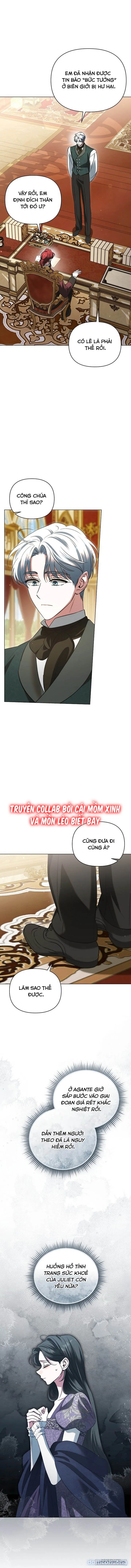 Dành Cho Nàng Juliet Xinh Đẹp 