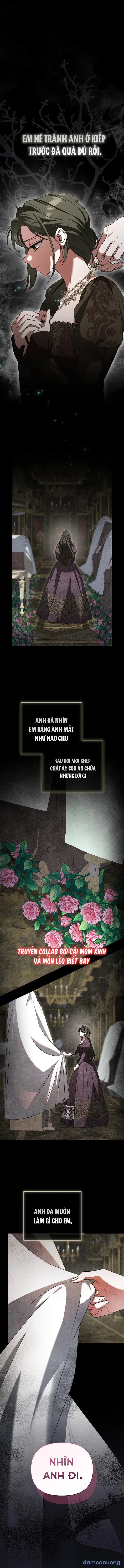 Dành Cho Nàng Juliet Xinh Đẹp 
