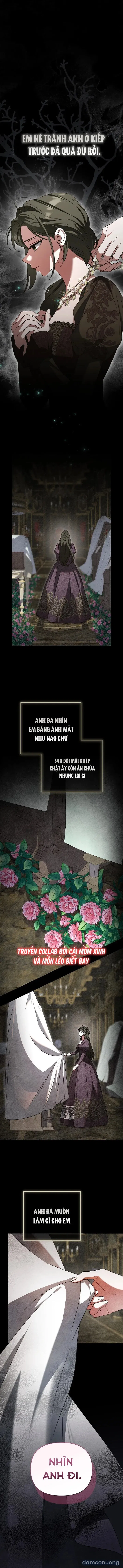 Dành Cho Nàng Juliet Xinh Đẹp 
