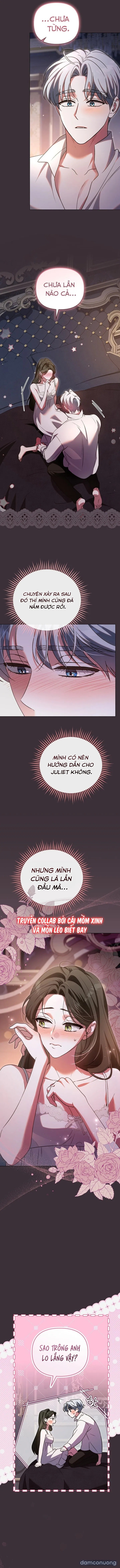Dành Cho Nàng Juliet Xinh Đẹp 