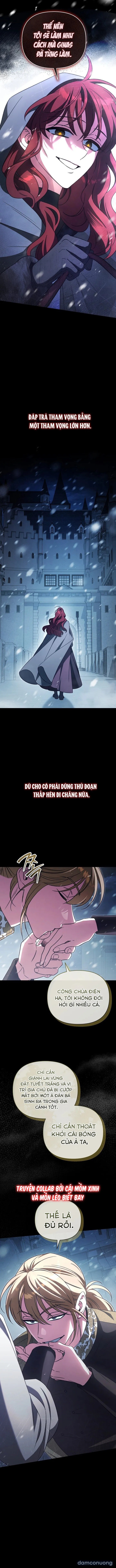 Dành Cho Nàng Juliet Xinh Đẹp 