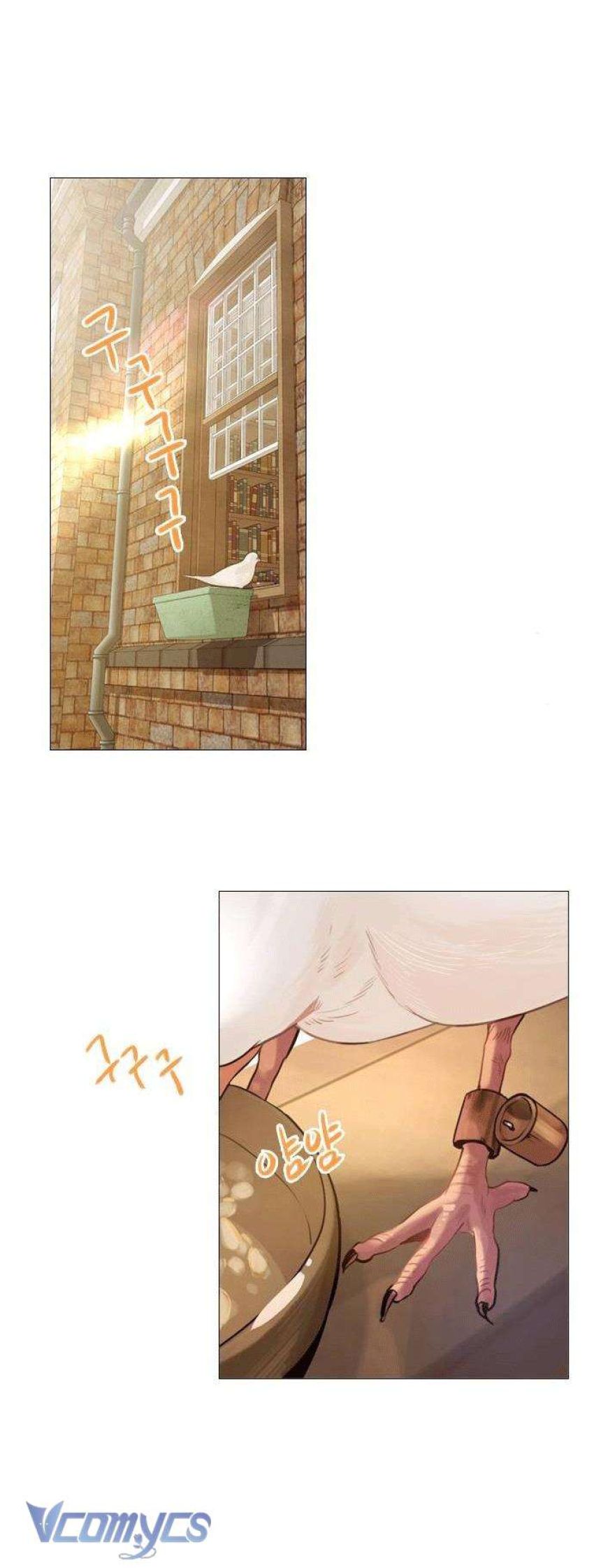 Hãy Khóc Và Cầu Nguyện Đi 