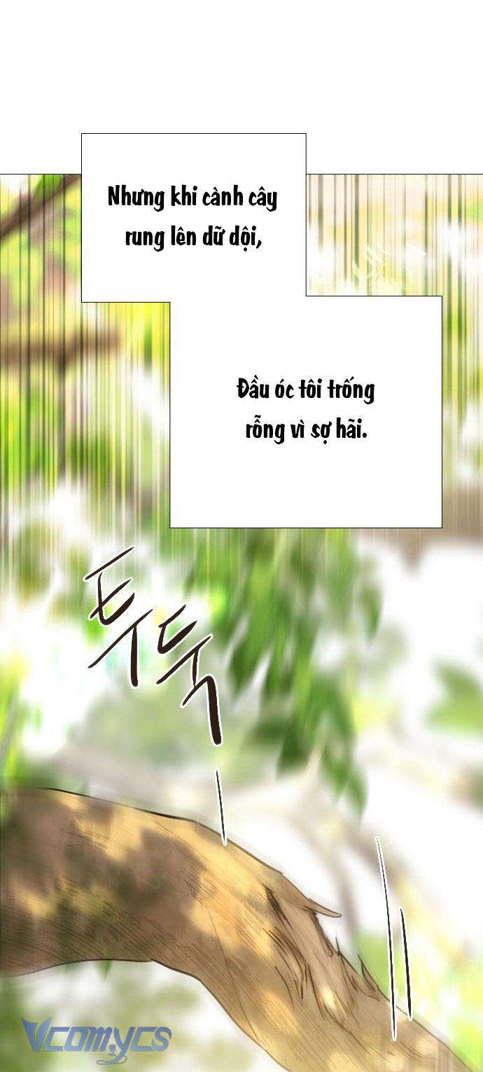 Hãy Khóc Và Cầu Nguyện Đi 