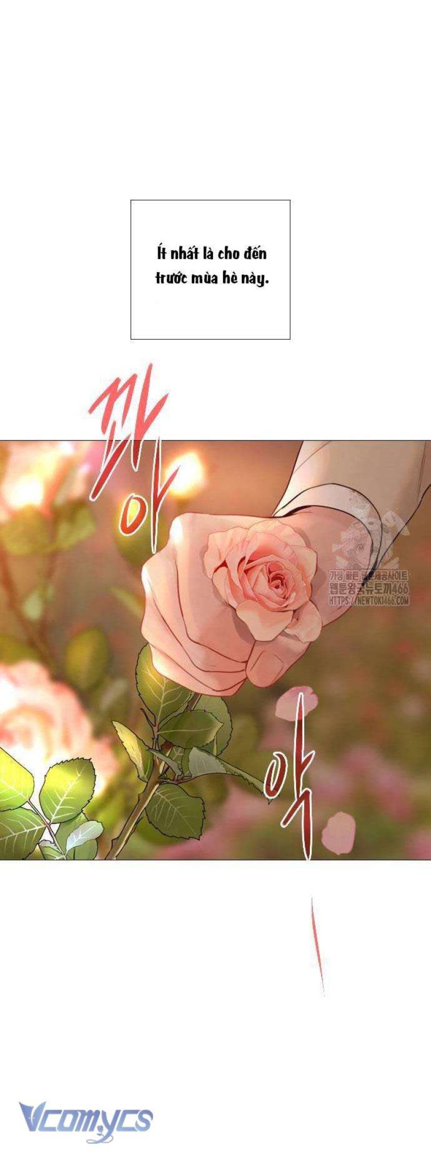 Hãy Khóc Và Cầu Nguyện Đi 