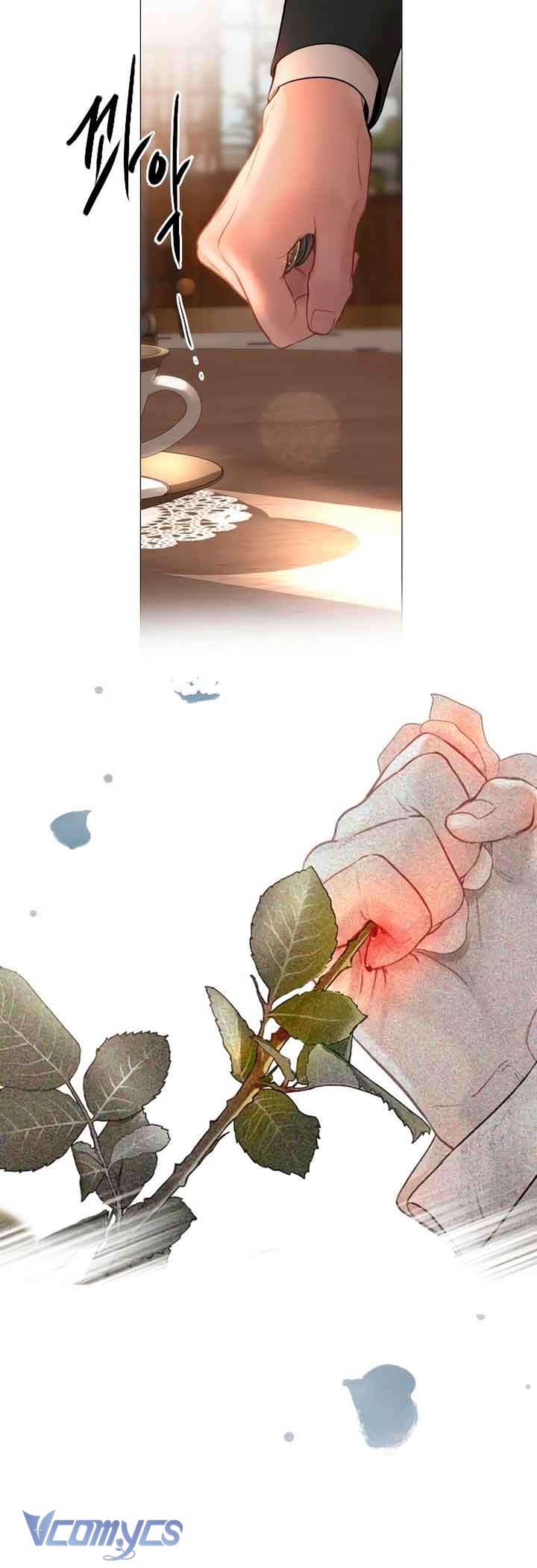 Hãy Khóc Và Cầu Nguyện Đi 