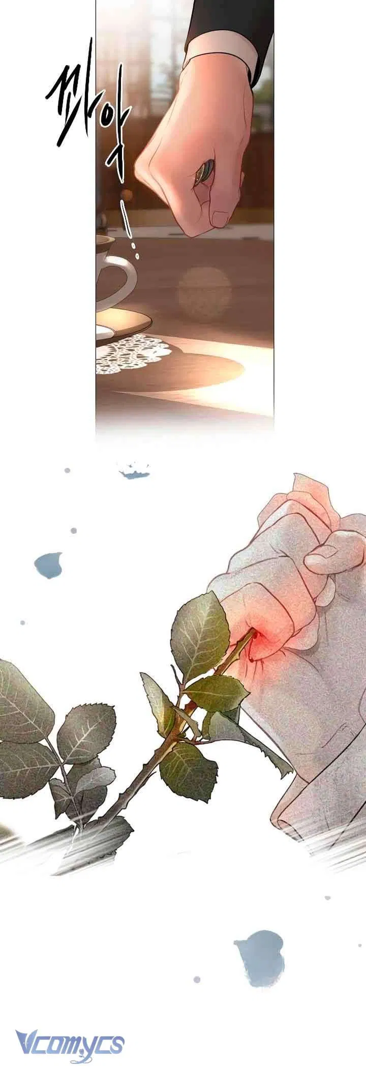 Hãy Khóc Và Cầu Nguyện Đi 