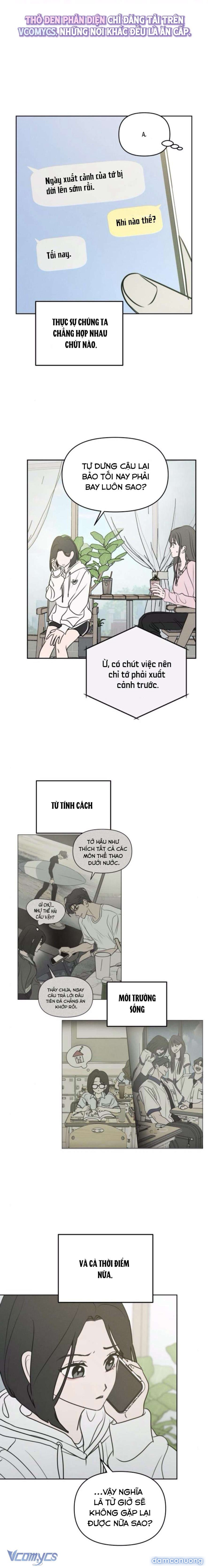 Muốn Được Lừa Dối 