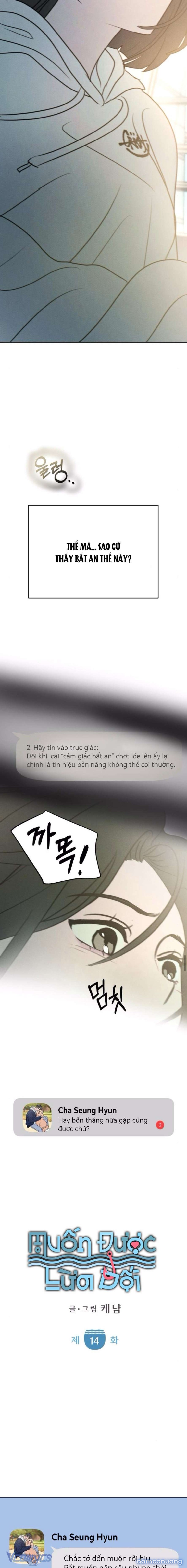 Muốn Được Lừa Dối 