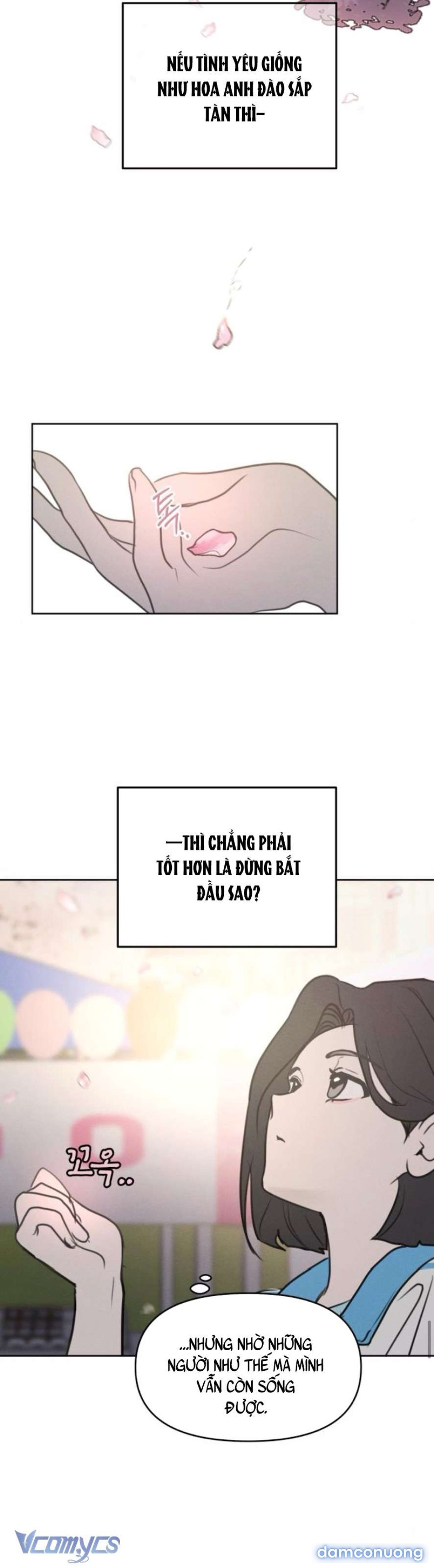 Muốn Được Lừa Dối 