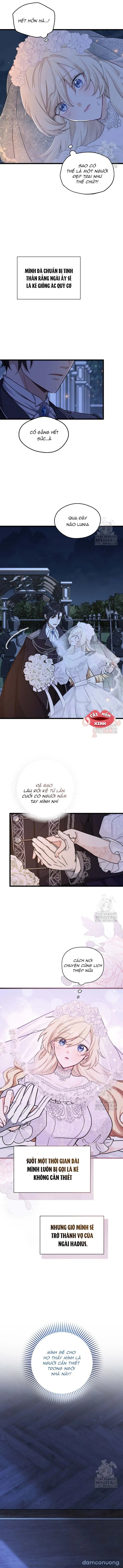 Bệ Hạ, Xin Hãy Quên Tôi Đi 