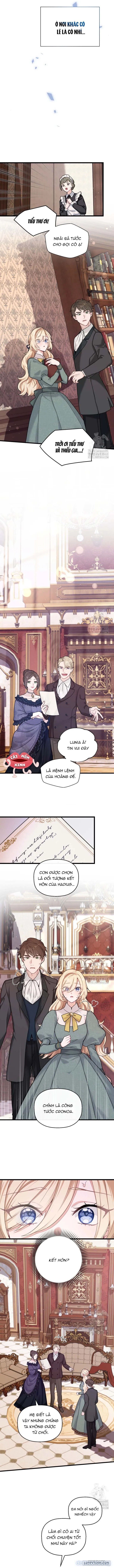 Bệ Hạ, Xin Hãy Quên Tôi Đi 