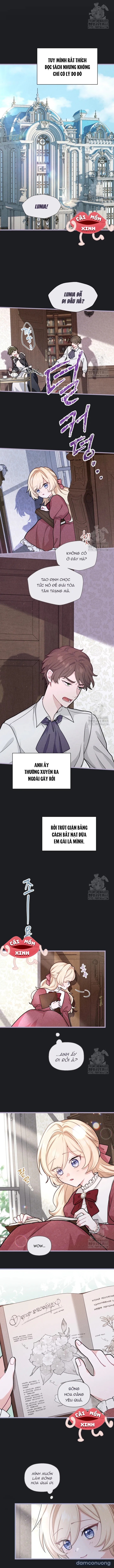 Bệ Hạ, Xin Hãy Quên Tôi Đi 