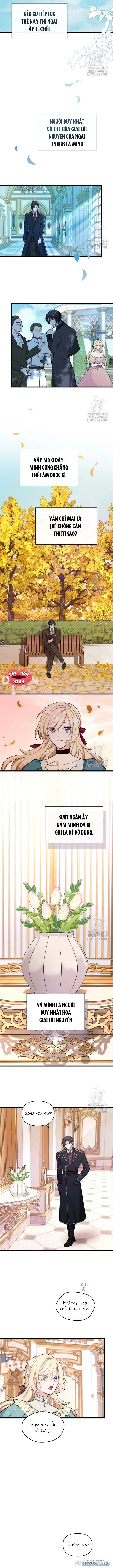 Bệ Hạ, Xin Hãy Quên Tôi Đi 