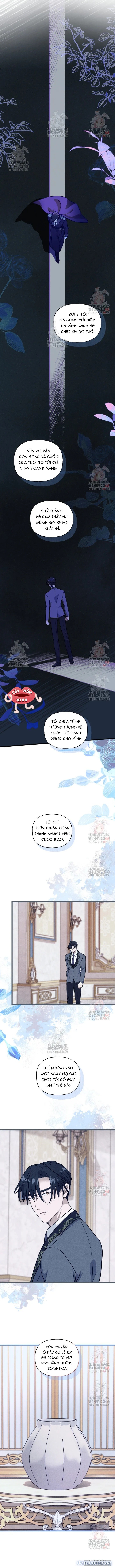 Bệ Hạ, Xin Hãy Quên Tôi Đi 