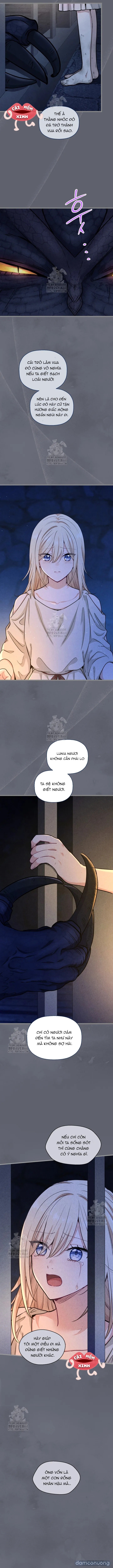 Bệ Hạ, Xin Hãy Quên Tôi Đi 