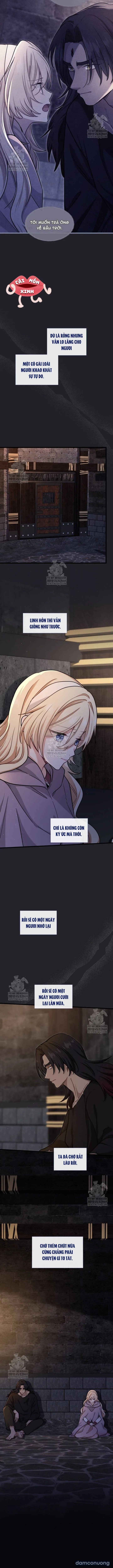 Bệ Hạ, Xin Hãy Quên Tôi Đi 