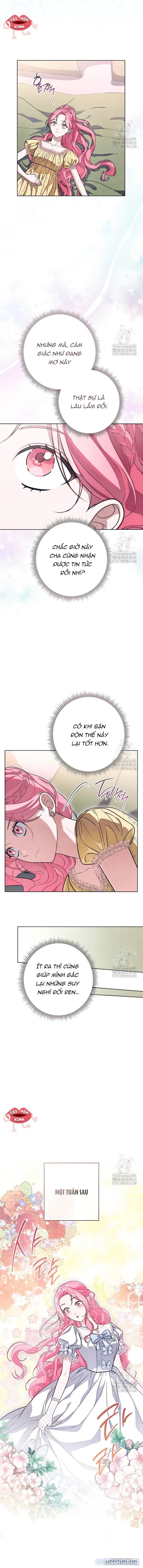 Nỗi Ám Ảnh Dành Cho Công Tước Phu Nhân 