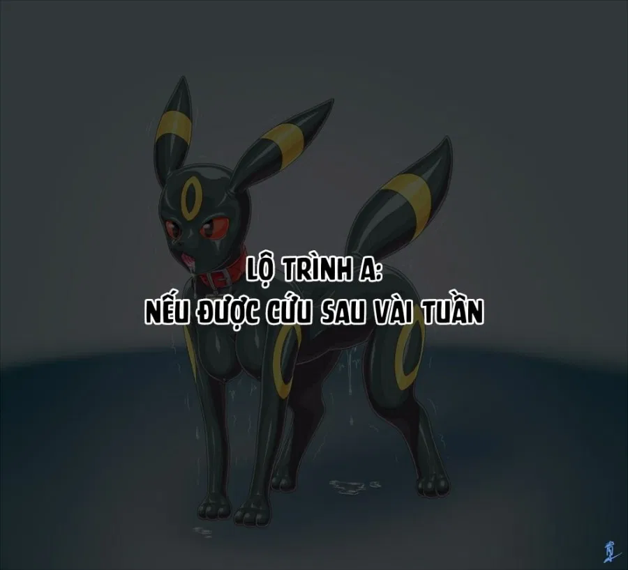 Cynthia → Umbreon Rubber Doll Kaizou 