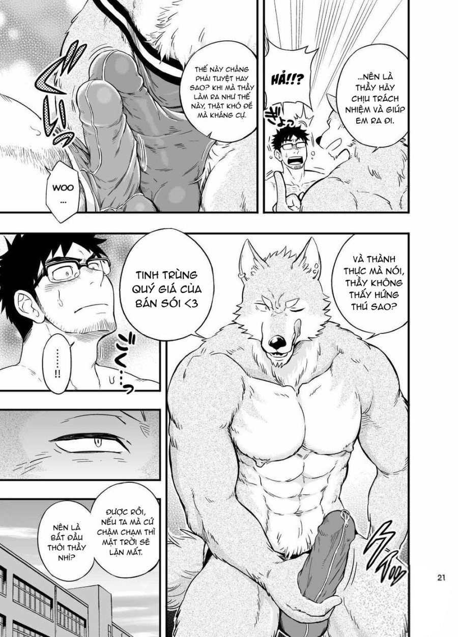 Sự hoang dã của Ookami-kun 