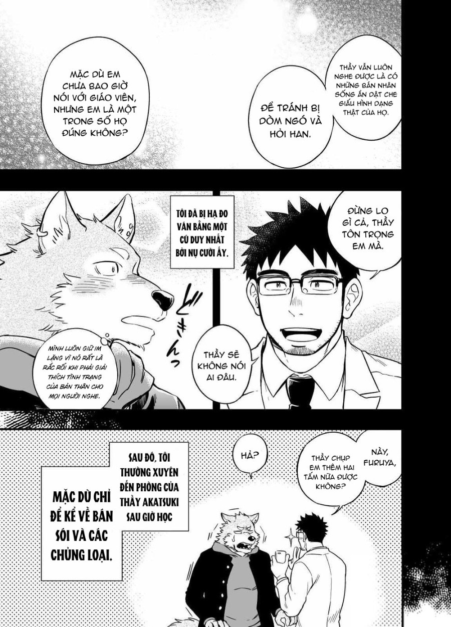 Sự hoang dã của Ookami-kun 