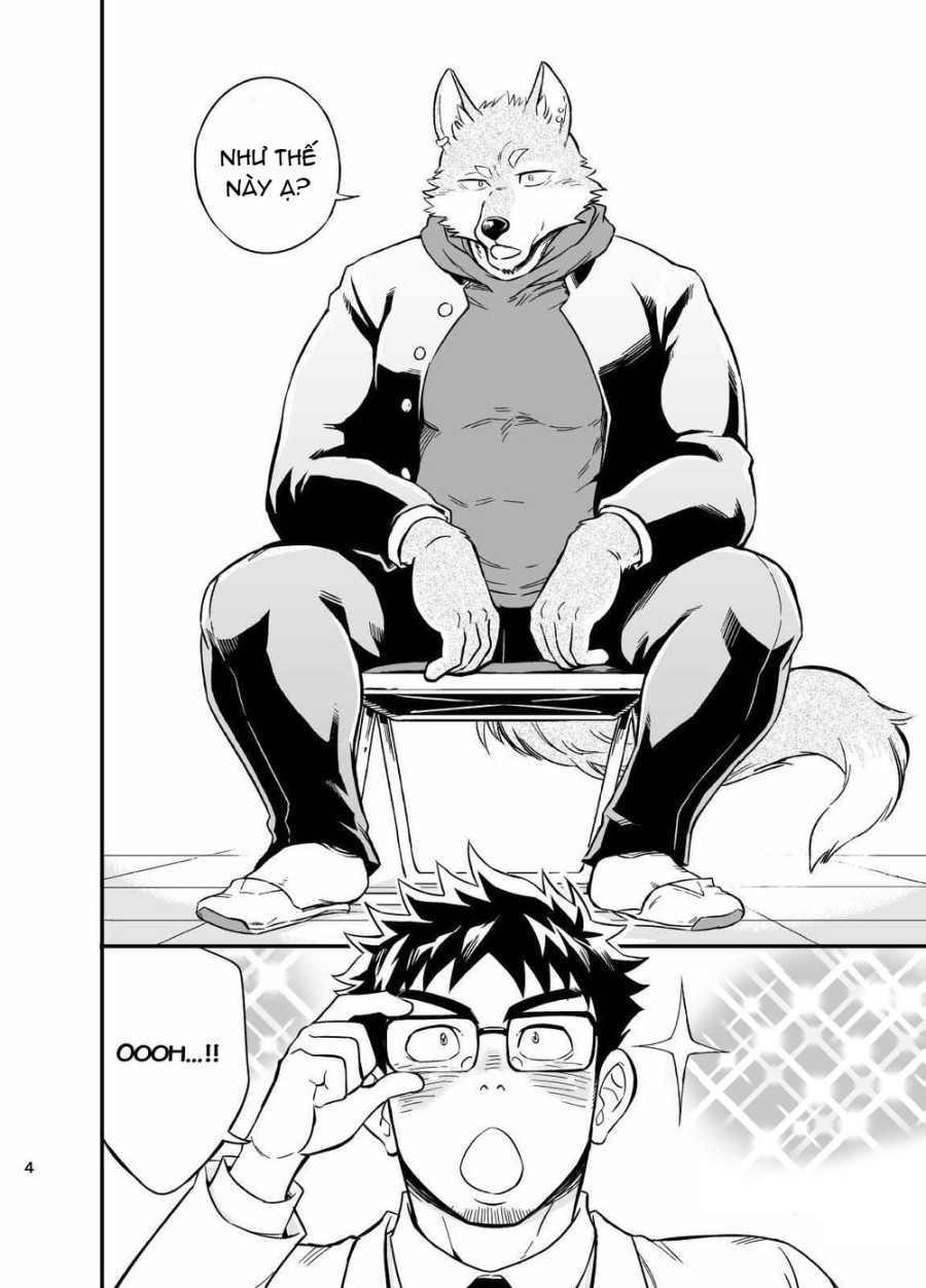 Sự hoang dã của Ookami-kun 