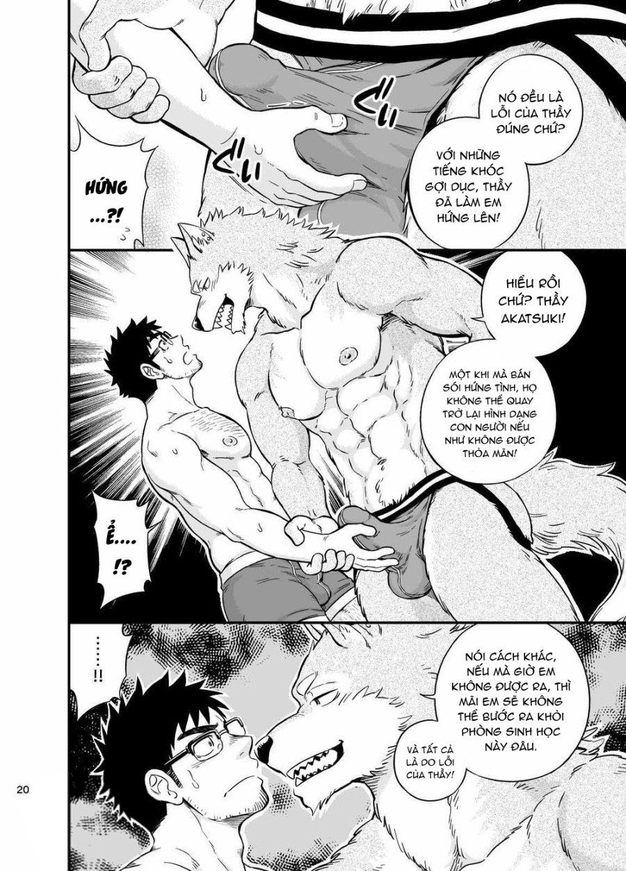 Sự hoang dã của Ookami-kun 