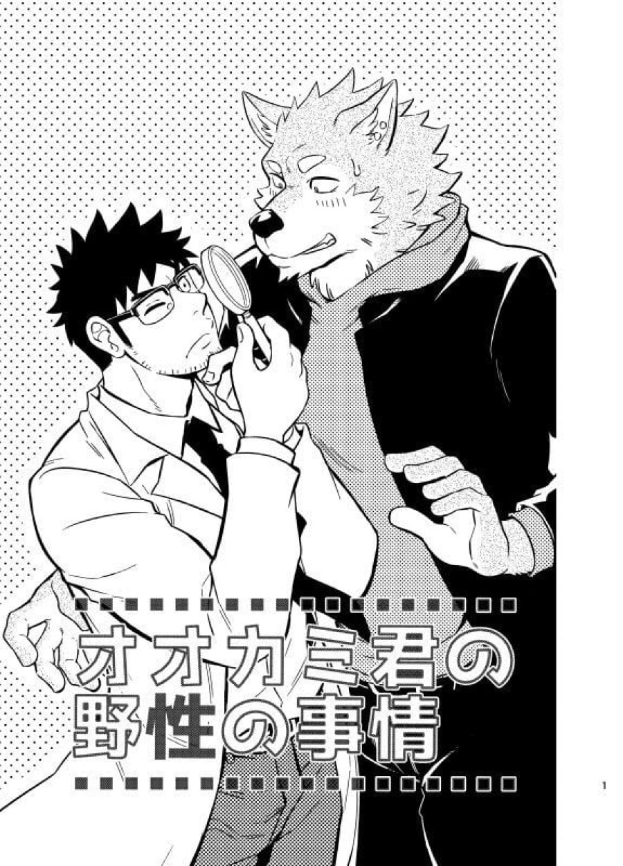 Sự hoang dã của Ookami-kun 