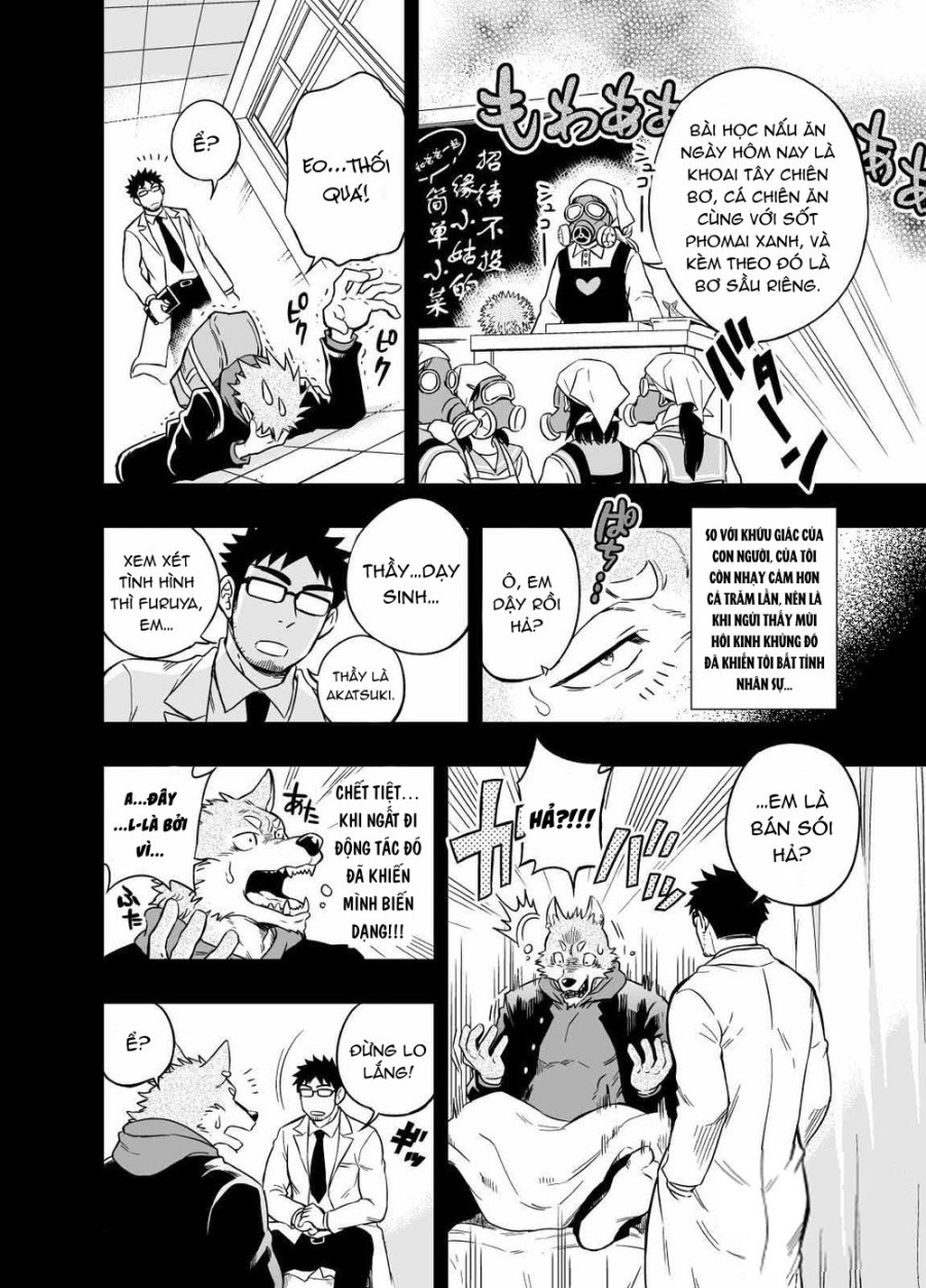 Sự hoang dã của Ookami-kun 
