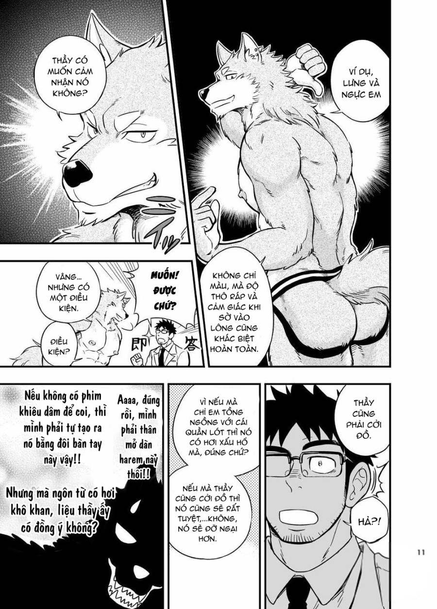 Sự hoang dã của Ookami-kun 