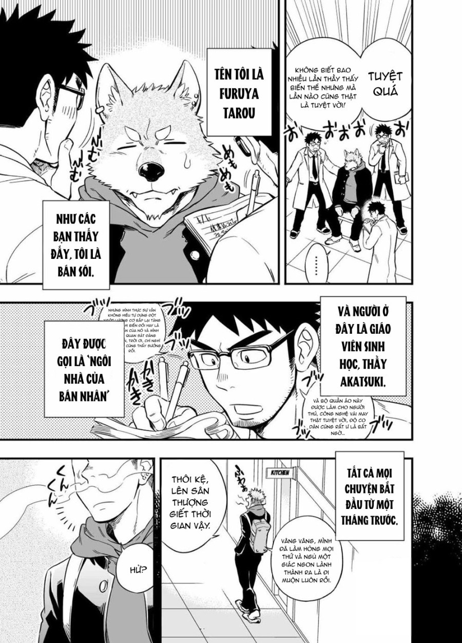 Sự hoang dã của Ookami-kun 
