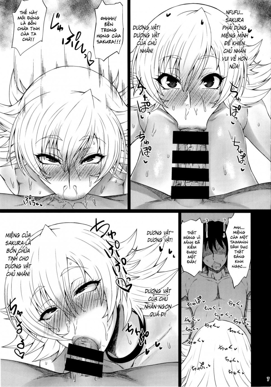 Vợ lợn Sakura-chan 