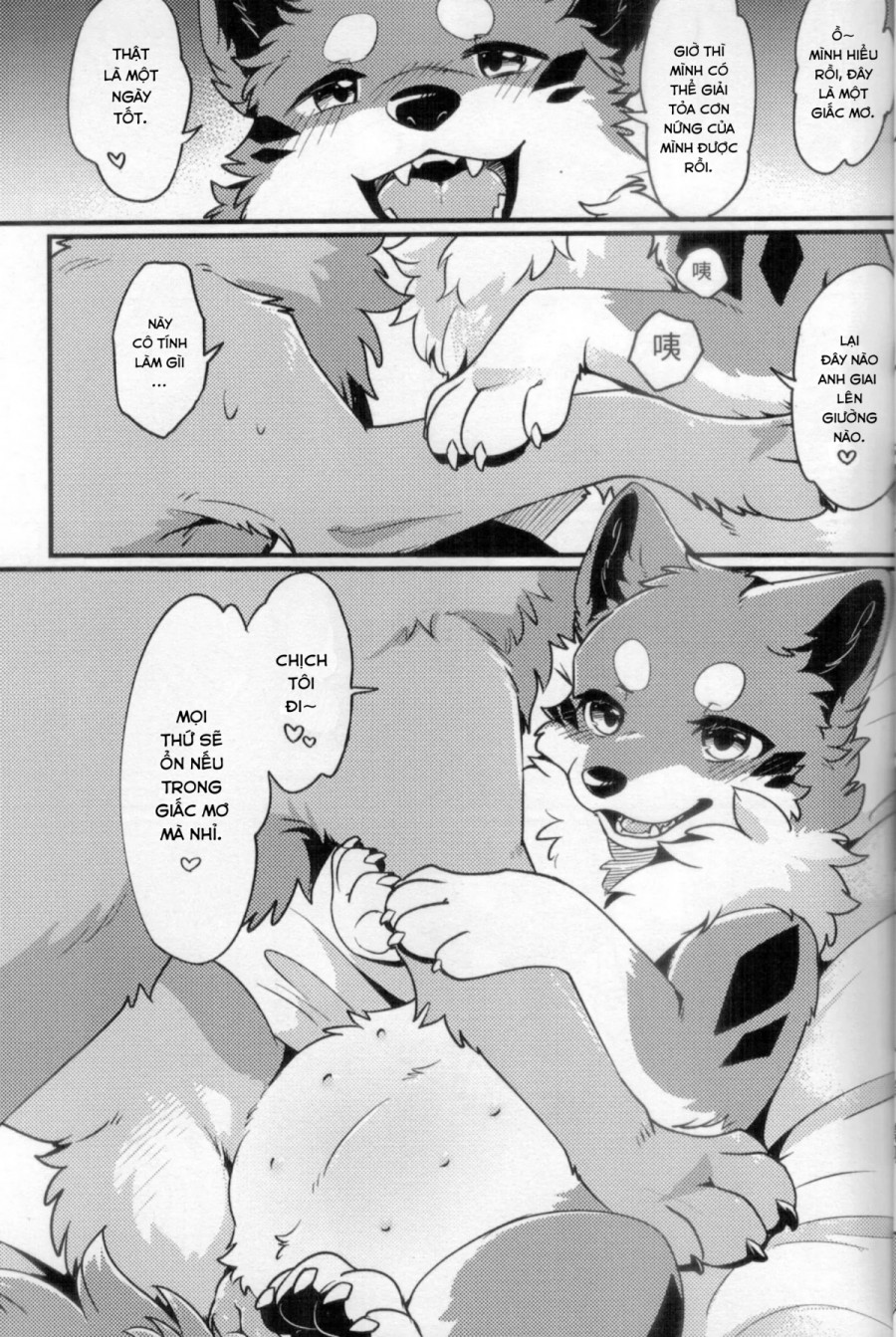 Chuyến đi ăn sạch đồ đài của Kitsune 
