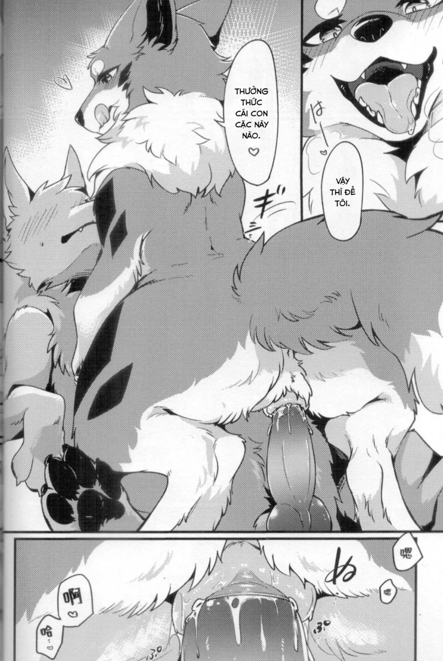 Chuyến đi ăn sạch đồ đài của Kitsune 