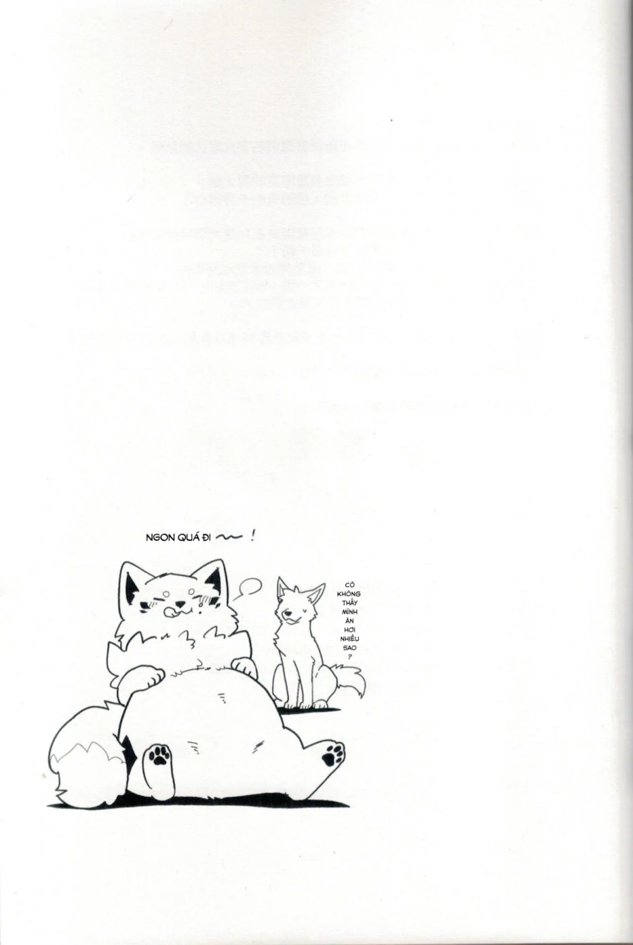 Chuyến đi ăn sạch đồ đài của Kitsune 