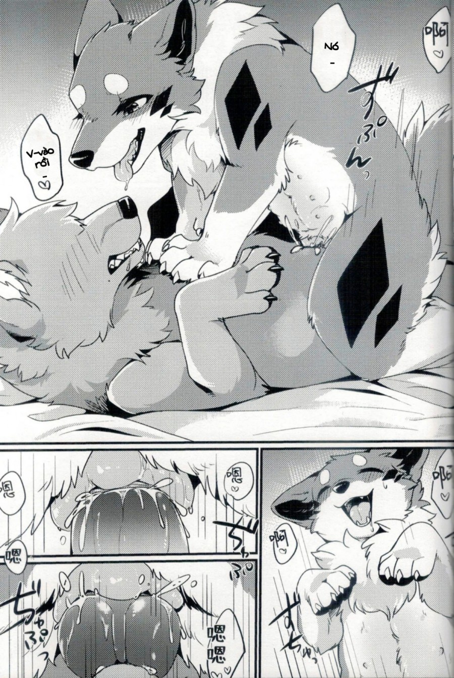 Chuyến đi ăn sạch đồ đài của Kitsune 
