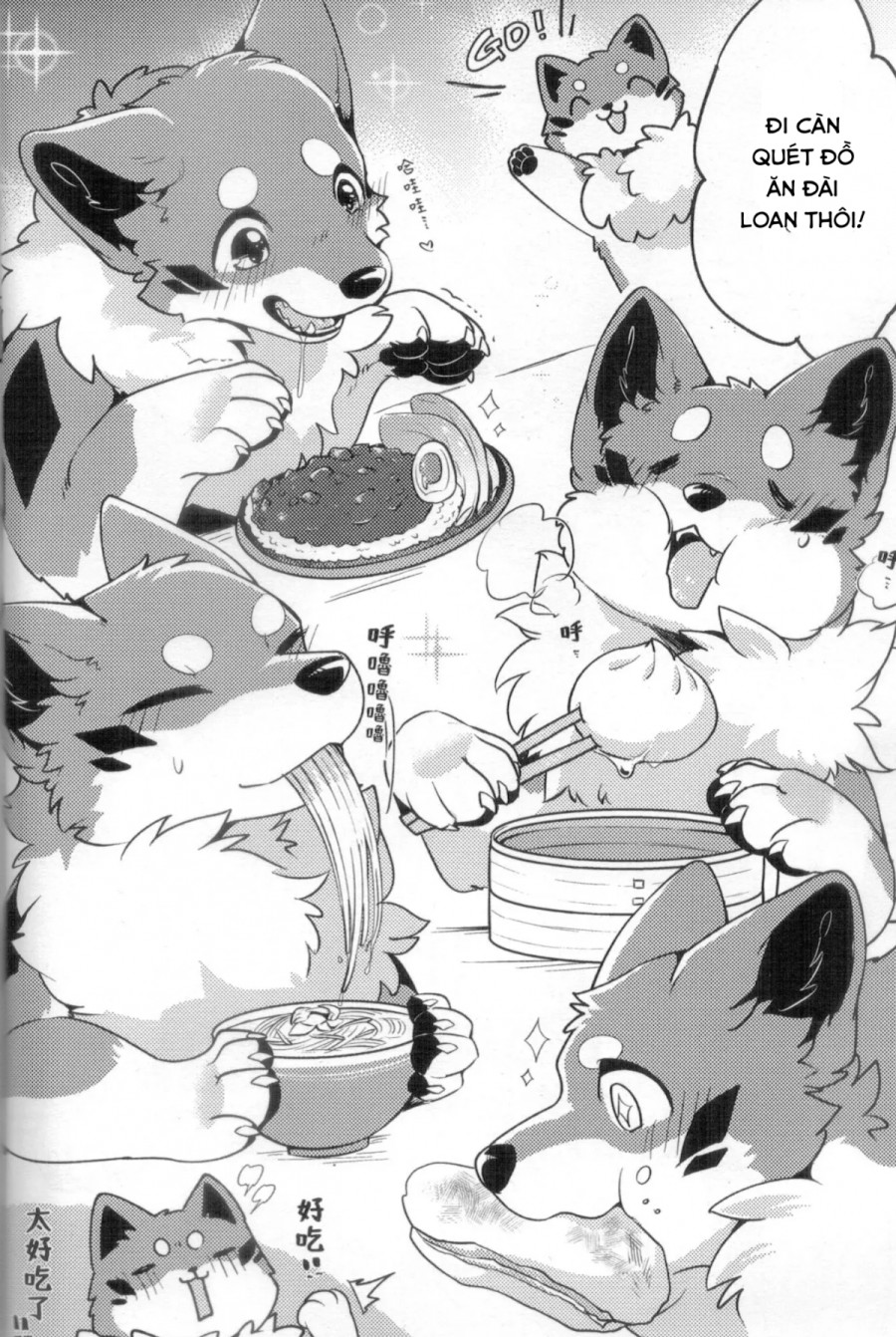 Chuyến đi ăn sạch đồ đài của Kitsune 