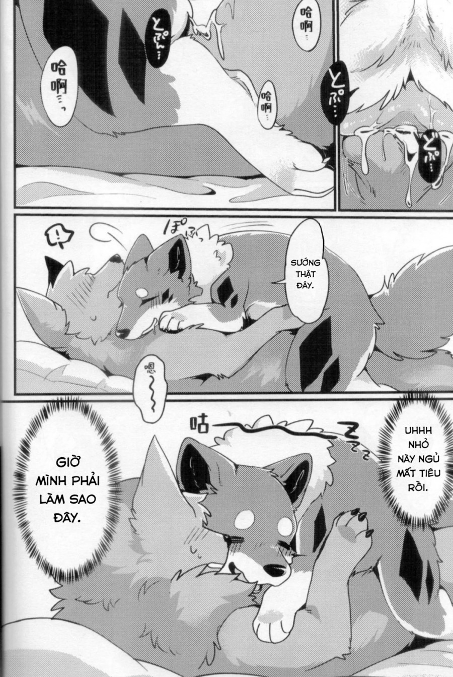 Chuyến đi ăn sạch đồ đài của Kitsune 