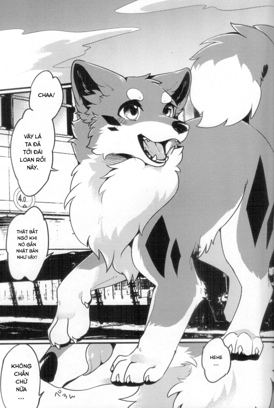 Chuyến đi ăn sạch đồ đài của Kitsune 