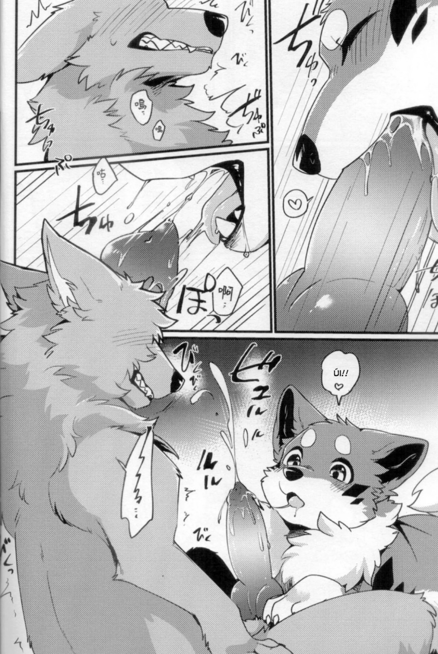 Chuyến đi ăn sạch đồ đài của Kitsune 