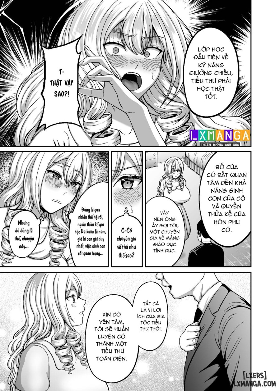 Ichiryuu no Lady wa Seikoui no Gijutsu mo Ichiryuu denakute wa 