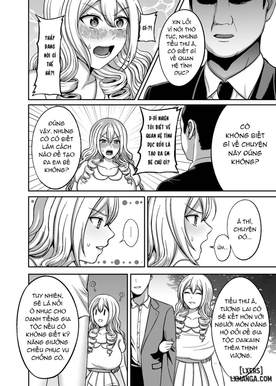 Ichiryuu no Lady wa Seikoui no Gijutsu mo Ichiryuu denakute wa 