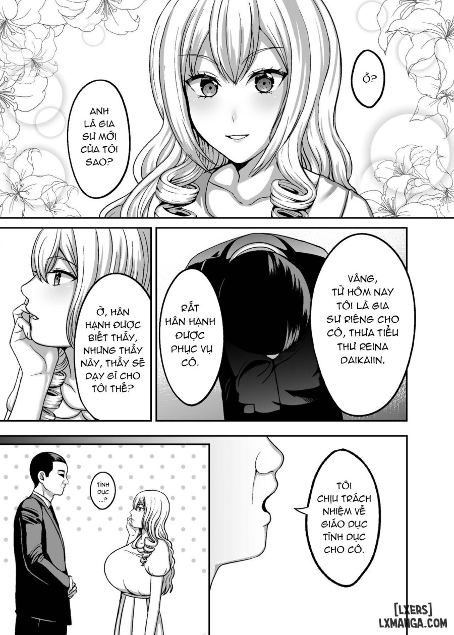 Ichiryuu no Lady wa Seikoui no Gijutsu mo Ichiryuu denakute wa 
