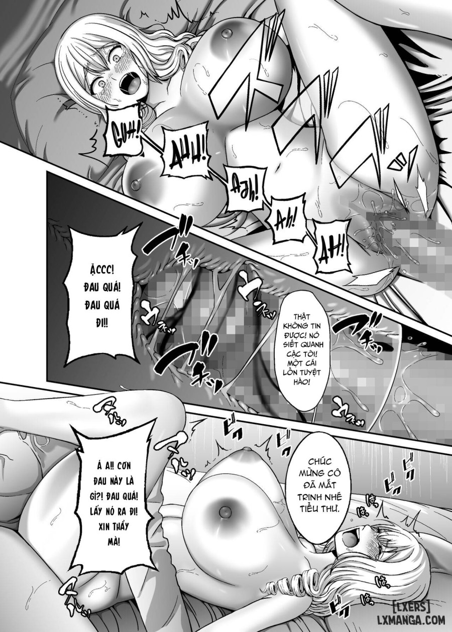 Ichiryuu no Lady wa Seikoui no Gijutsu mo Ichiryuu denakute wa 